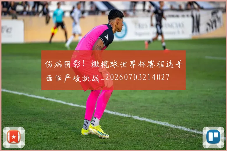 伤病阴影!橄榄球世界杯赛程选手面临严峻挑战_20260703214027