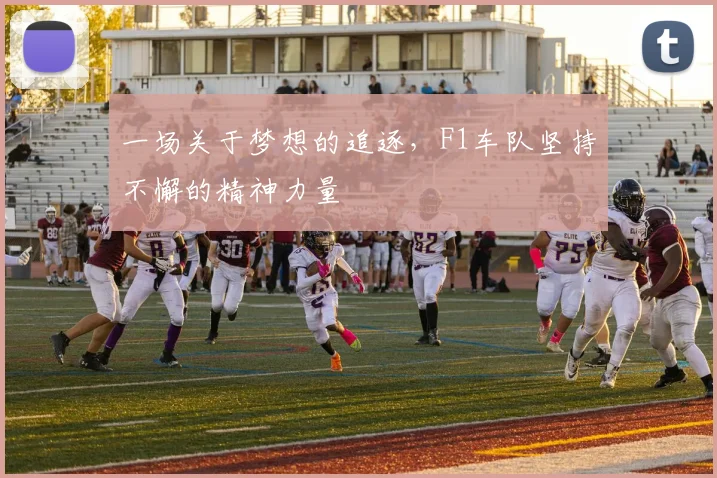 一场关于梦想的追逐，F1车队坚持不懈的精神力量