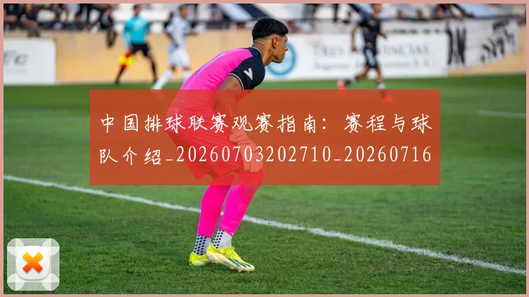 中国排球联赛观赛指南：赛程与球队介绍_20260703202710_20260716182428