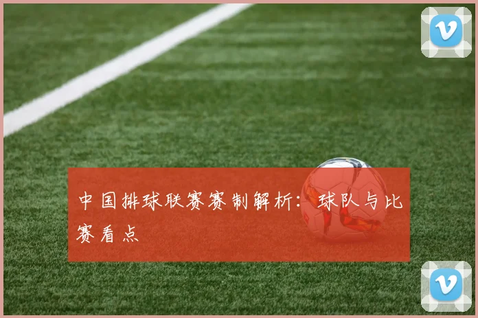 中国排球联赛赛制解析：球队与比赛看点